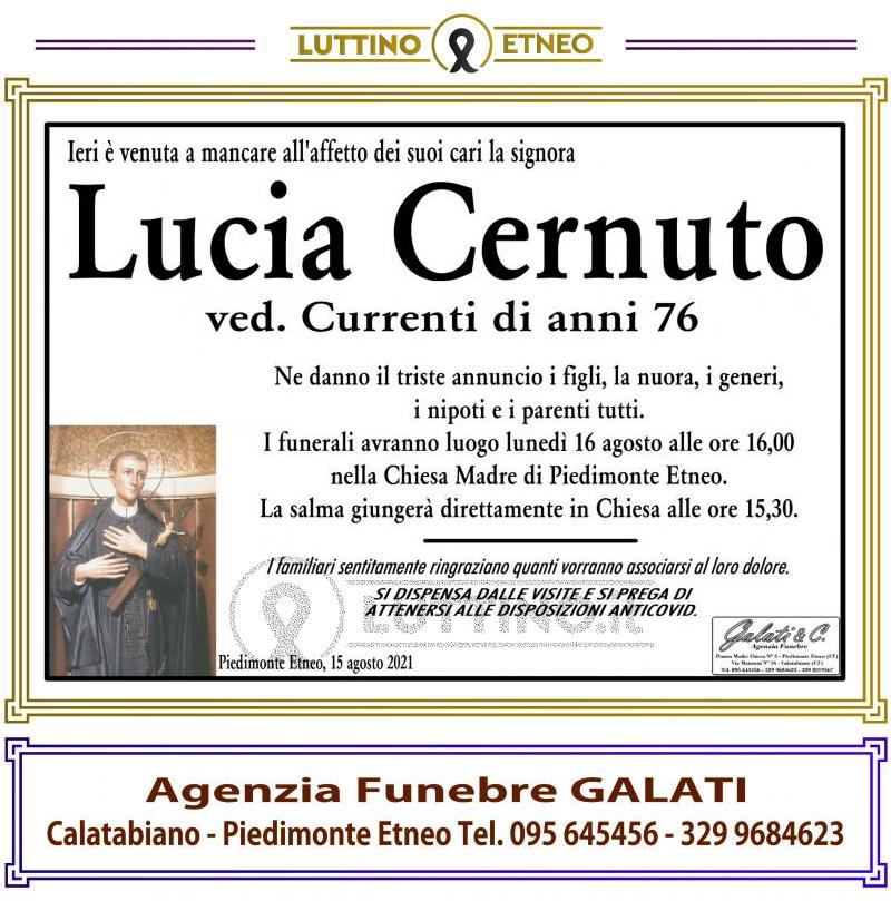 Lucia  Cernuto